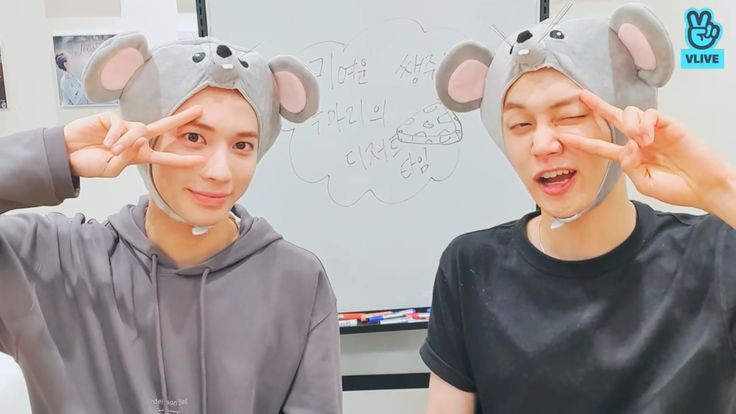 taejun cats (@nyangtaejun) on Twitter photo 