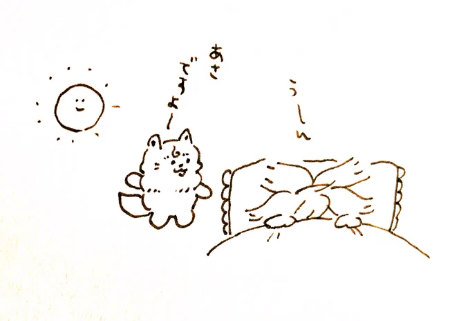 おはよう🌅 