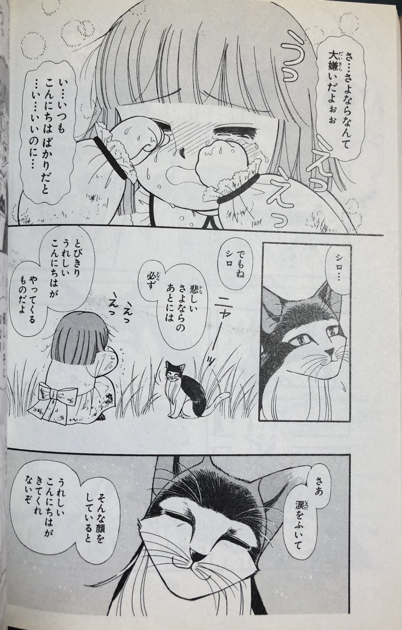 ねこねこ幻想曲 Twitter Search Twitter