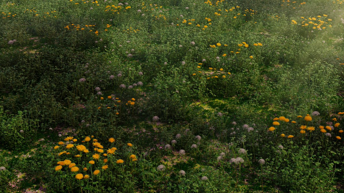 incoodla's tweet photo. Precious grass! @graswald_3d 

#blender #blender3d #cgi https://t.co/QExJiytzDr