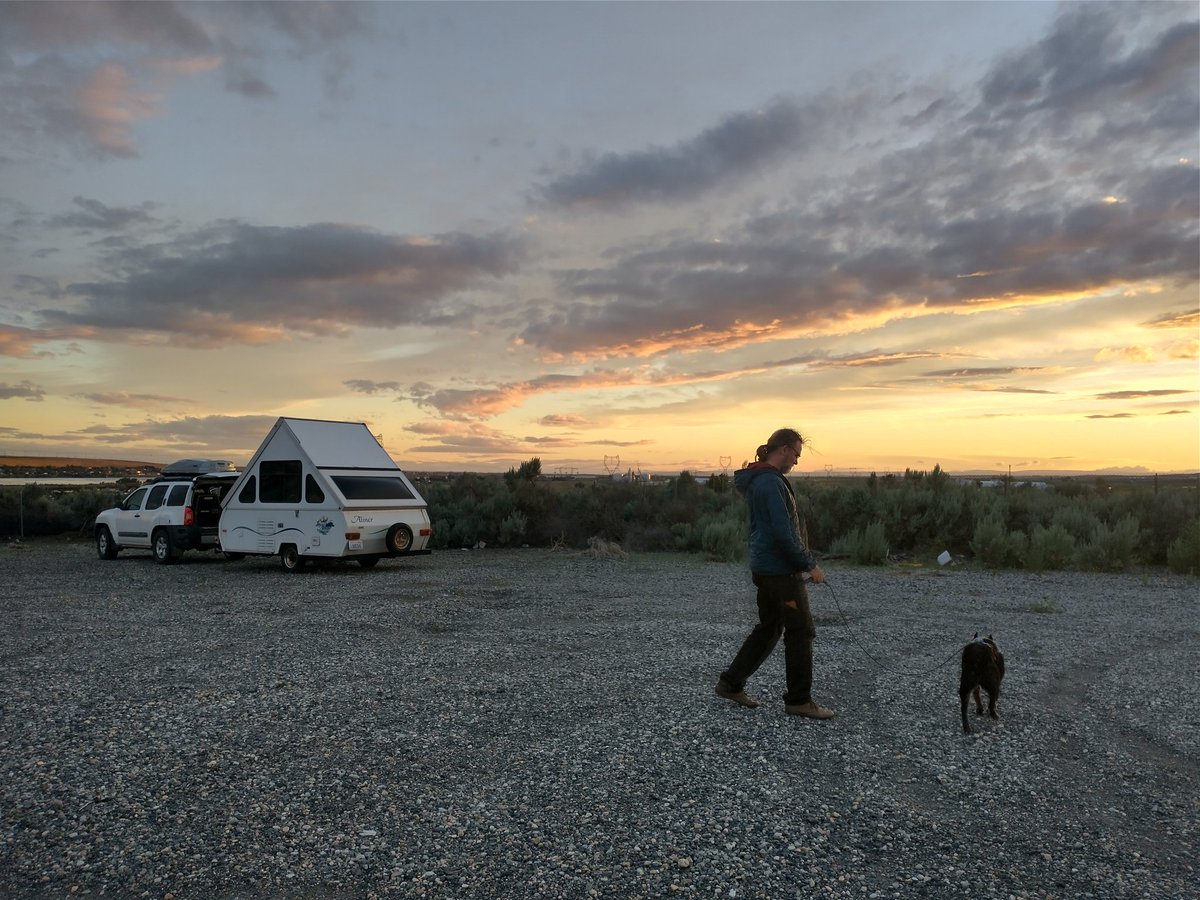 roguedetection's tweet photo. Gravel pits tend to make great camp spots for us. We like to keep travel costs low on our projects so we're always looking for hidden gems like this! It may look a little rough around the edges, but that's how we like it!
#roguedogs
#fieldwork
#conservationdogs https://t.co/yQfaslZcvH