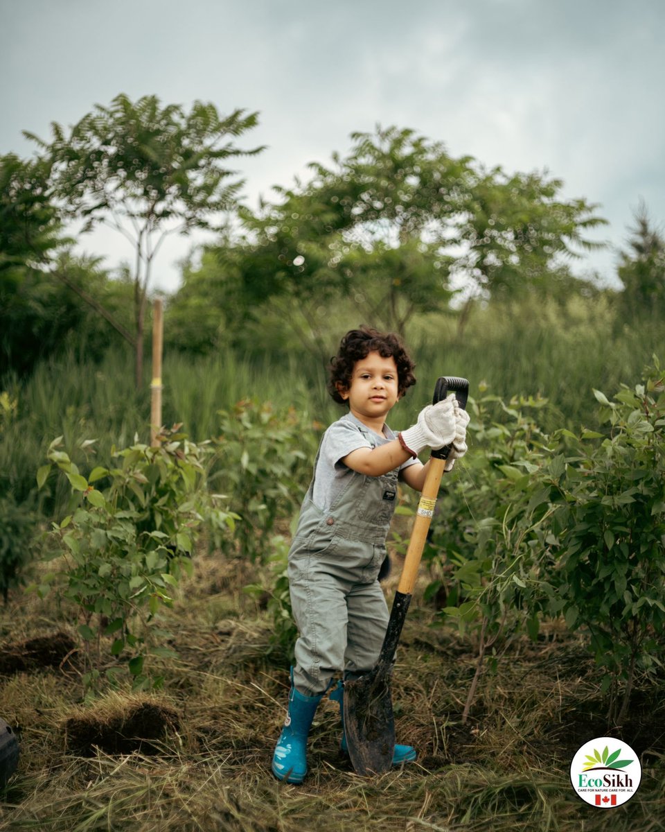 EcosikhC's tweet photo. Great event on a morning that started with heavy rain and ended the sun shining on 300 #trees planted in the ground by @EcosikhC &amp; @FaithCommonGood as part of an #interfaith planting event supporting a @TRCA_HQ reforestation at New Forest North in @City_of_Vaughan    #climate https://t.co/bbBSHfsgQb