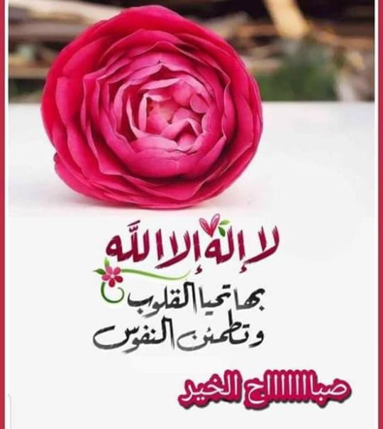 سوري حر (@malghrbby) on Twitter photo 