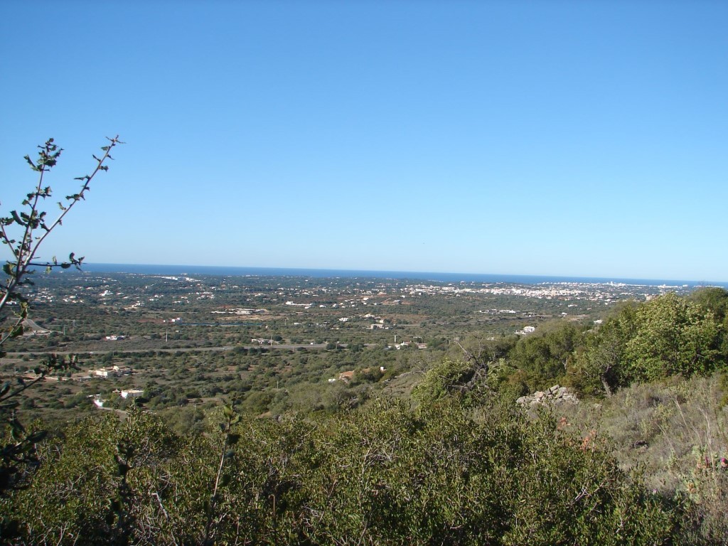 OceanKProperty's tweet photo. Villa For Sale in Faro Portugal - #OceanKeyProperty #PortugalRealEstate #Property #RealEstate
https://t.co/TvFB4EJw24 https://t.co/Ni2T0zF5Gn