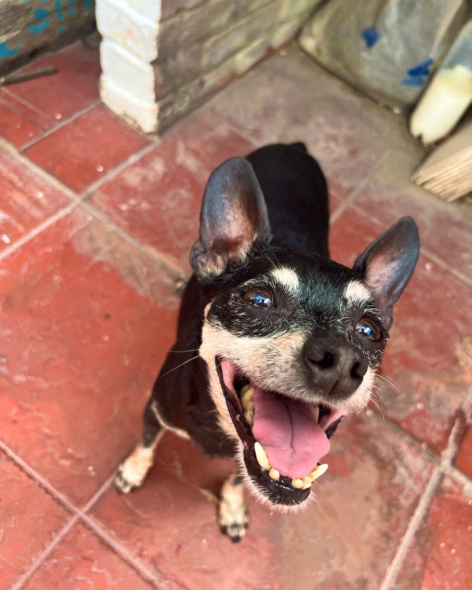 wildandrebel's tweet photo. There'll be happiness after you, but there was happiness because of you🎵
Gracias por todo Lucas ❤️ descansa en paz hijo, lo diste todo. Mami te ama🥹 https://t.co/bwN3OOVfsb