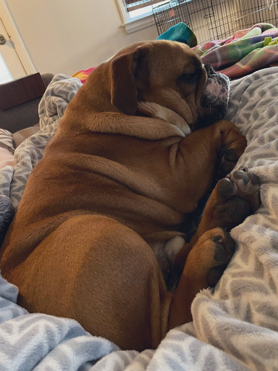 katie harrington tweet media