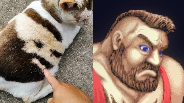 「猫による啓示」猫の模様が「ストリートファイター、ザンギエフ」に激似だった。