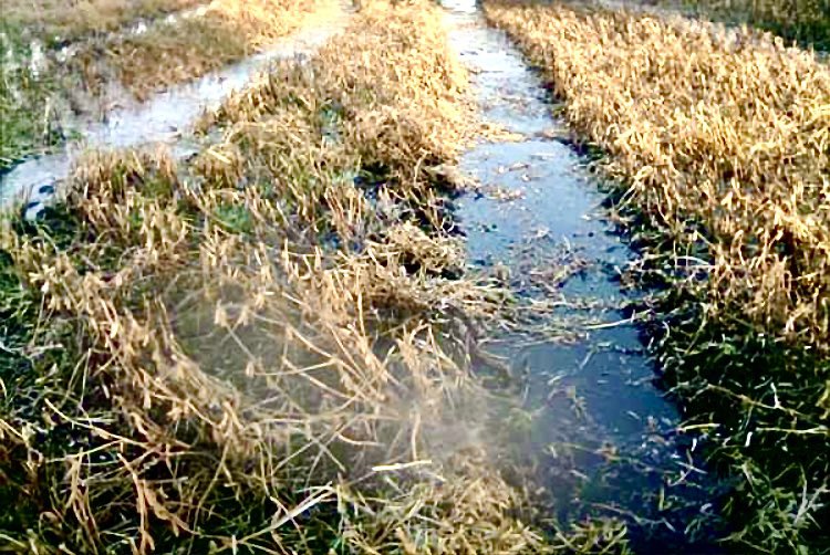 PedroZabala01's tweet photo. De enero a agosto llovió y mucho!Pero era Verano, y muy poquito de otońo..,Aun así el agua está y hay q cosechar!!’
No hay escurrimiento, obvio!
Porqué?Y…NO hay obras!!
2+2=4 o no?👎🏽 https://t.co/fdeINGThyk