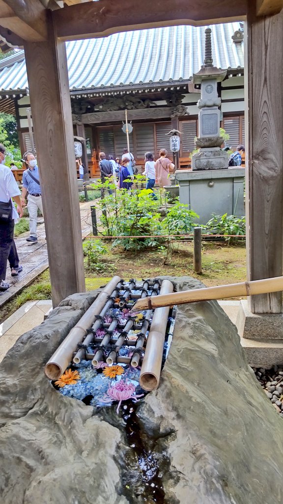 ArbrePrintemps's tweet photo. 川崎市多摩区 長尾山妙楽寺
週末にはあじさいまつりが、ちょうど見頃です。駐車場はほぼないので、久地駅または登戸駅からのコミュニティバス、あじさい号が便利です。
 #あじさい寺 #長尾山妙楽寺 #花手水 https://t.co/2dJTwGbAsI