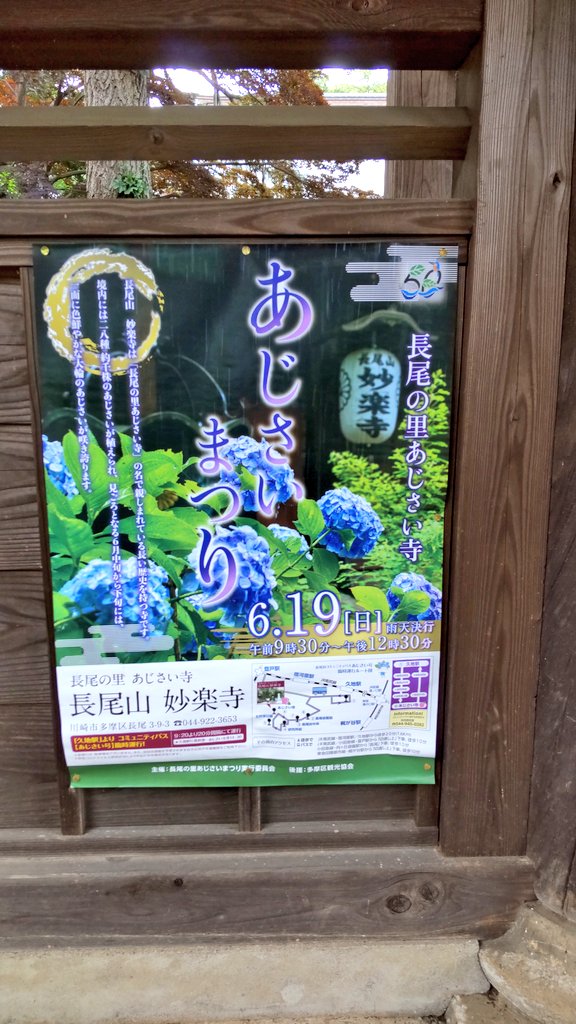 ArbrePrintemps's tweet photo. 川崎市多摩区 長尾山妙楽寺
週末にはあじさいまつりが、ちょうど見頃です。駐車場はほぼないので、久地駅または登戸駅からのコミュニティバス、あじさい号が便利です。
 #あじさい寺 #長尾山妙楽寺 #花手水 https://t.co/2dJTwGbAsI