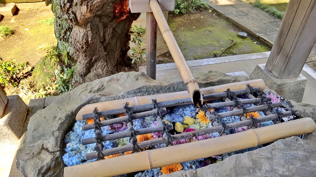 ArbrePrintemps's tweet photo. 川崎市多摩区 長尾山妙楽寺
週末にはあじさいまつりが、ちょうど見頃です。駐車場はほぼないので、久地駅または登戸駅からのコミュニティバス、あじさい号が便利です。
 #あじさい寺 #長尾山妙楽寺 #花手水 https://t.co/2dJTwGbAsI