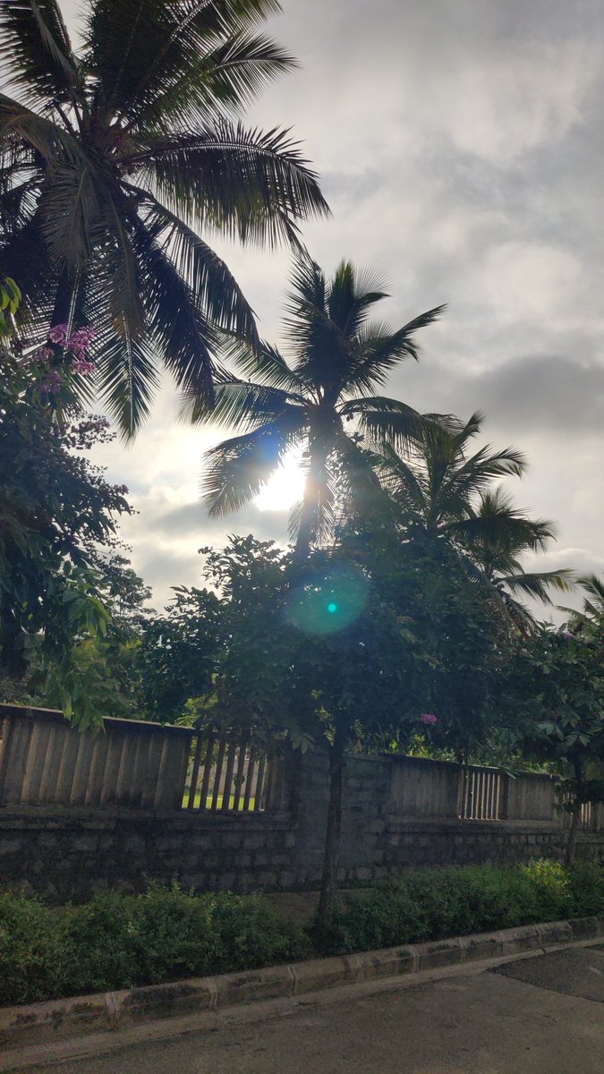LNCBrianDiamond's tweet photo. Today's lookin like a good day!

#VitaminD

😁💙🫀💚🌍✌🏾💯 https://t.co/VQbsyMrsFD