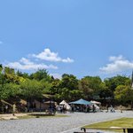 松江市宍道ふるさと森林公園【公式】のツイート画像