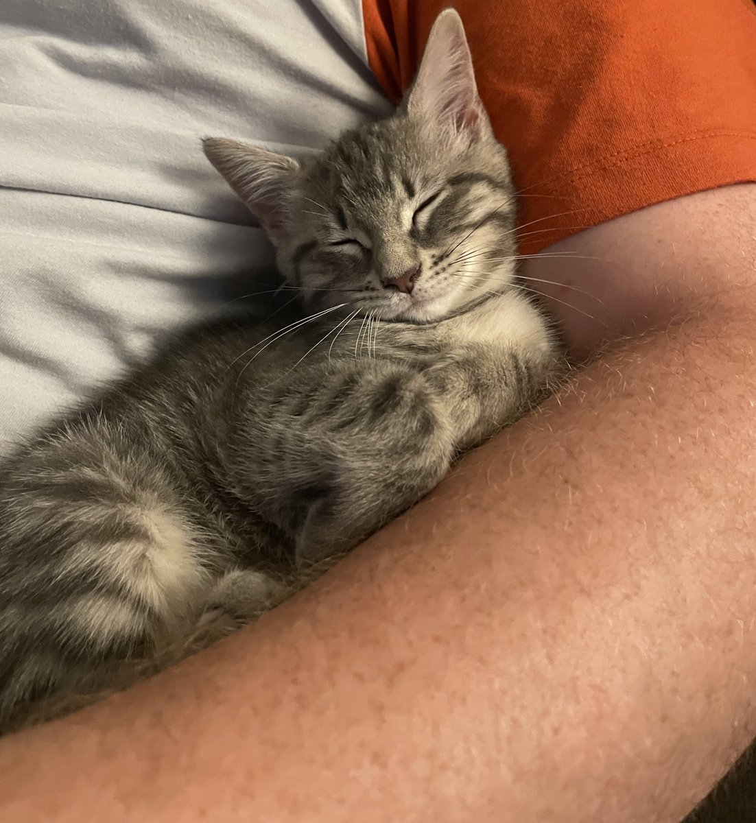 This cute little girl needs a name, anyone have a suggestion?