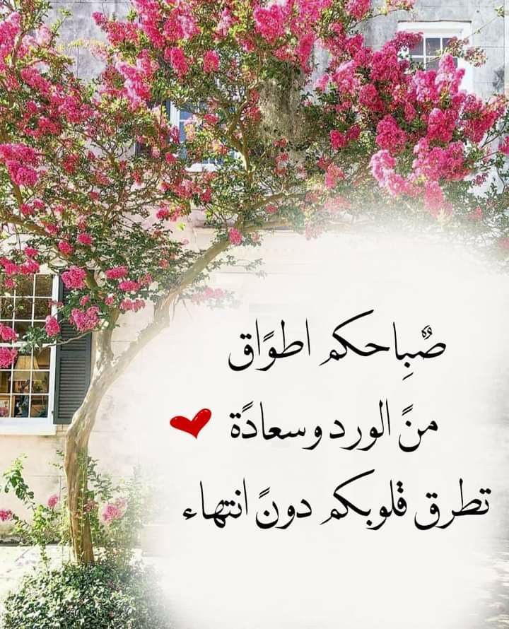 اسير الصمت (@moonm399) on Twitter photo 