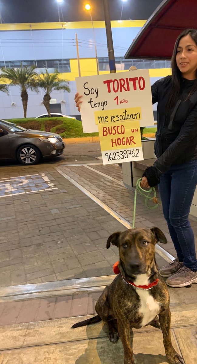 lucidezoe's tweet photo. Compartan 🙏🏼😭 su carita🥲 https://t.co/GgzxBTdvDS