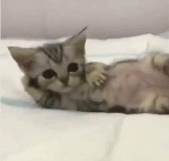 ㅤ
/ ♡ /  remembers this account exists after six months 
ㅤ