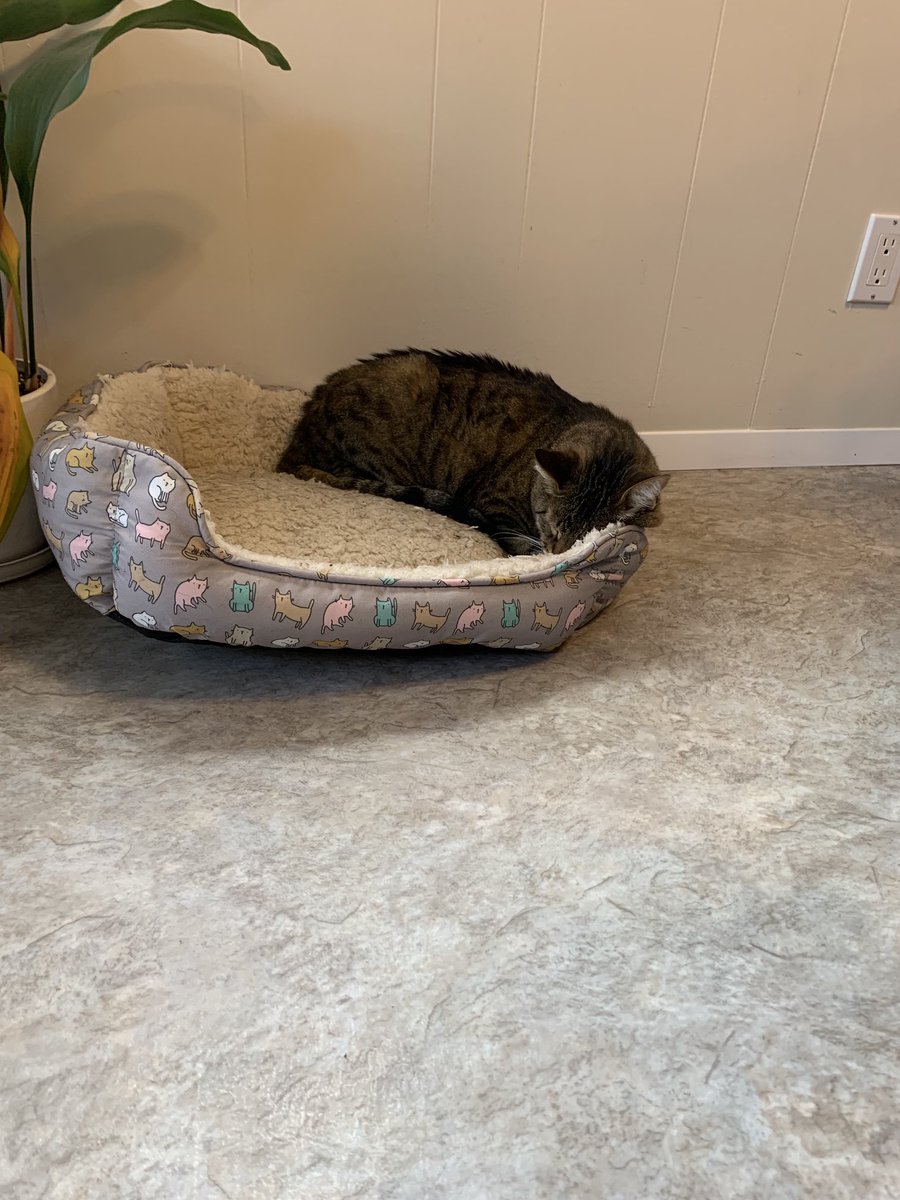 I don’t think I could sleep if half of my bed was tilted in the air, but it works for Mr. W.