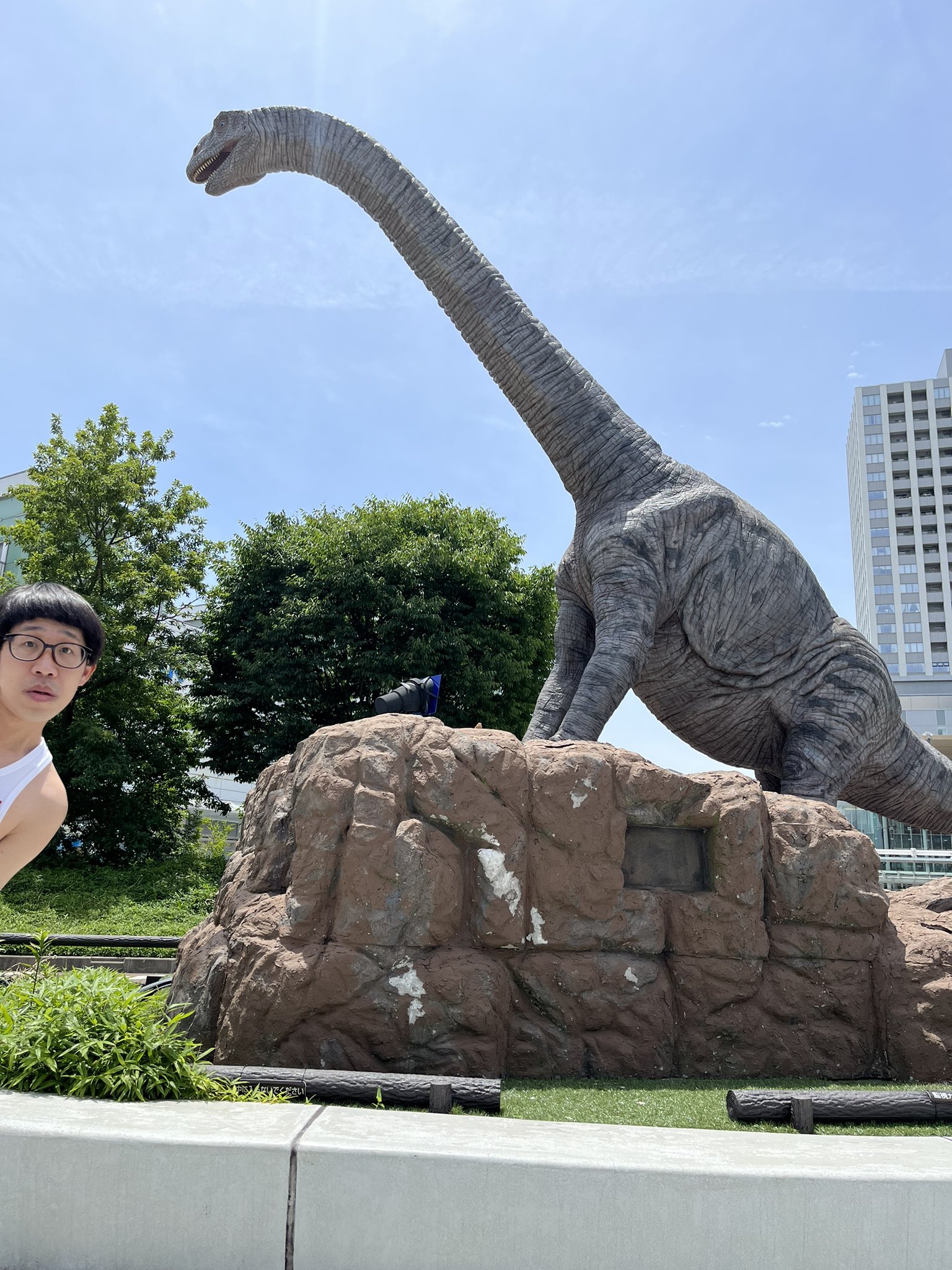 ひょっこりはん Yashita99 Twitter