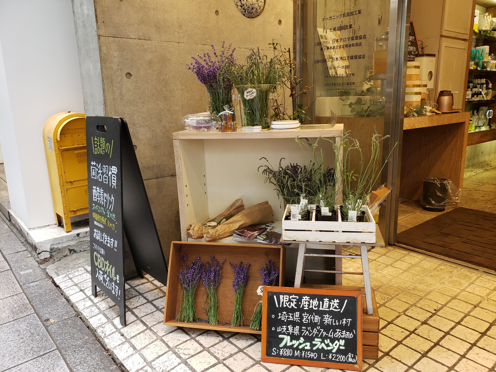 宮代町 新しい村のラベンダーが表参道に 生活の木 原宿表参道店の店頭に 新しい村 のハーブ園で育ったラベンダーが並んでいます ゚ ひょう被害により当初全国の店舗で販売される予定でしたが 一部店舗のみの取り扱いとなりました 素敵な 宮代町 新しい村のラベンダーが表参道に 生活の木 原宿表参道店の店頭に 新しい村 のハーブ園で育ったラベンダーが並んでいます ゚ ひょう被害により当初全国の店舗で販売される予定でしたが 一部店舗のみの取り扱いとなりました 素敵な