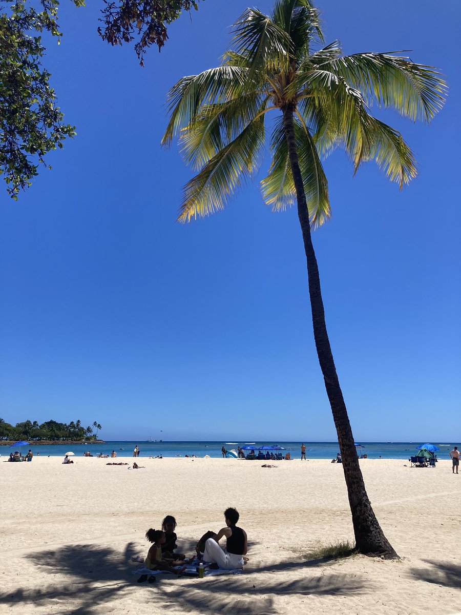 Michelle Simmons tweet media