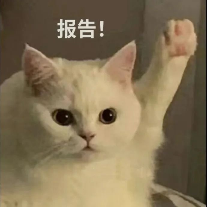 wohenqiangL's tweet photo. @f205618999 好朋友 https://t.co/N8qslRpYUT