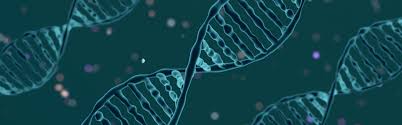 AngelCharrette's tweet photo. Register now Cell and Gene therapy Conference scheduled on June 27-28,2022 #London #UK
#CellTherapy #CellBiology #Cellscience #Stemcells #Genetics #Genetherapy #Apoptosis #Mutations #biotechnology #Nucleotides 
URL:https://t.co/OjsCF2vGVM 
+443308187921 https://t.co/5Gi2ib5XvB
