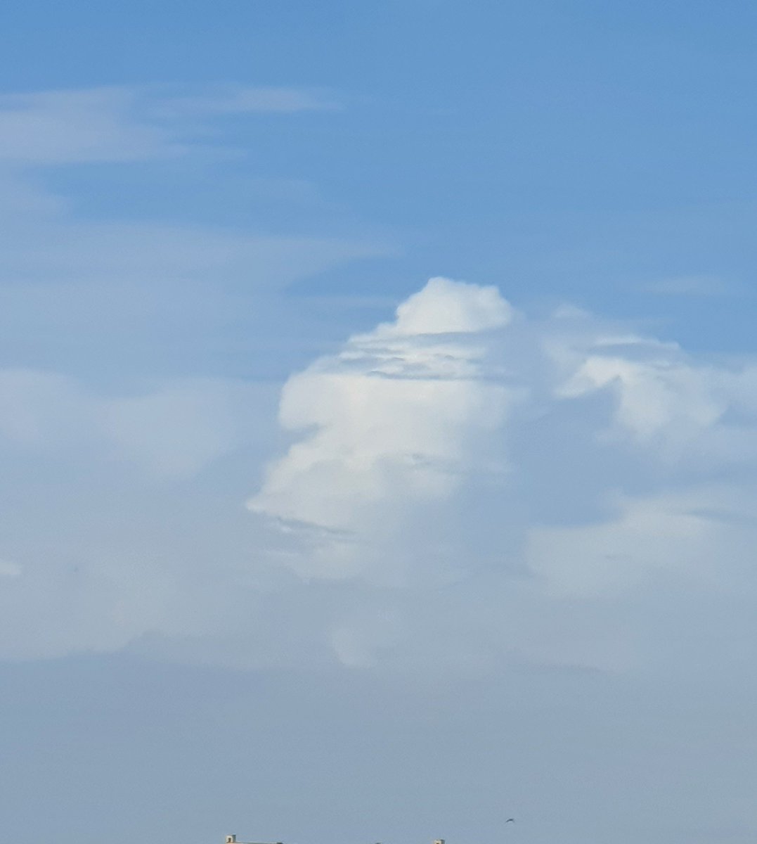 Amit3vedi's tweet photo. A random click. What do you see? https://t.co/ot6U9VV9D3