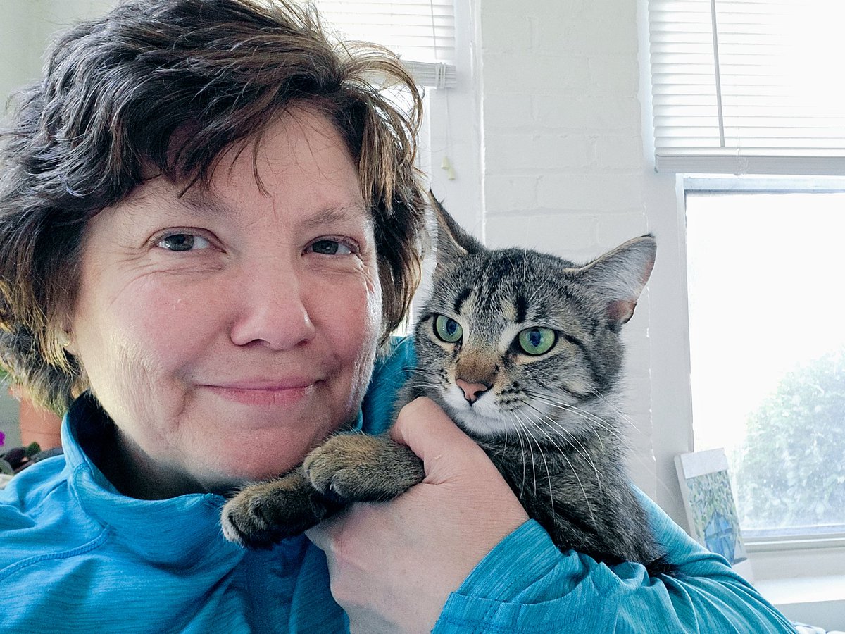 officetutorials's tweet photo. Happy Gotcha Day to Niekro the Cat! ❤️ #NiekrotheCat #TMOSCat #AdoptDontShop https://t.co/ogZdSIPhqd