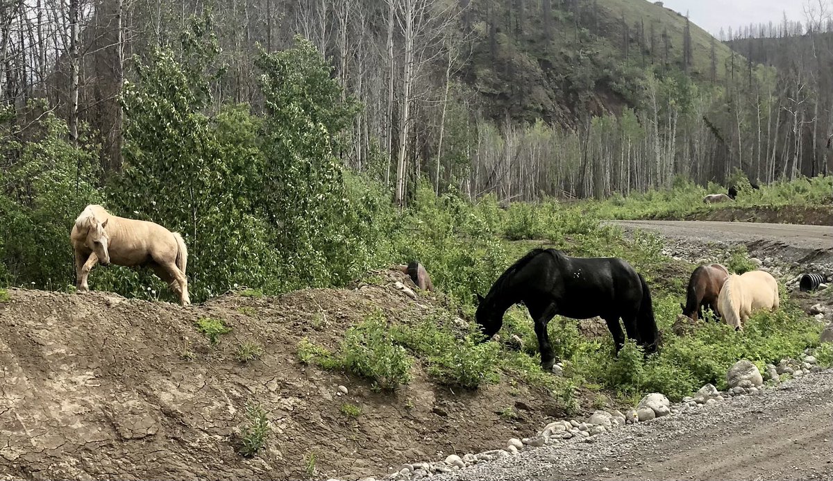 Fr David Reilander tweet media