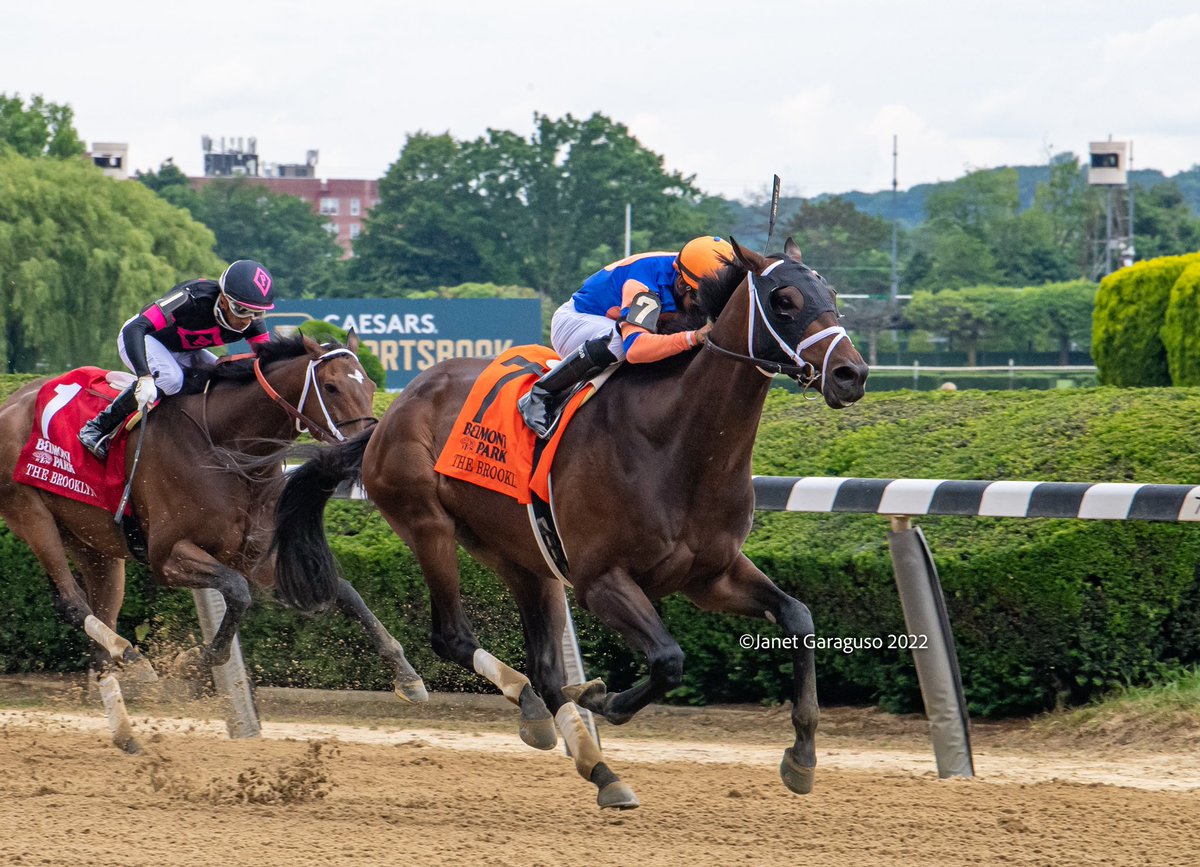 jmg27_janet's tweet photo. FEARLESS AND @luissaezpty in the Brooklyn for @PletcherRacing #repolestable https://t.co/CQjU0HT3Qa