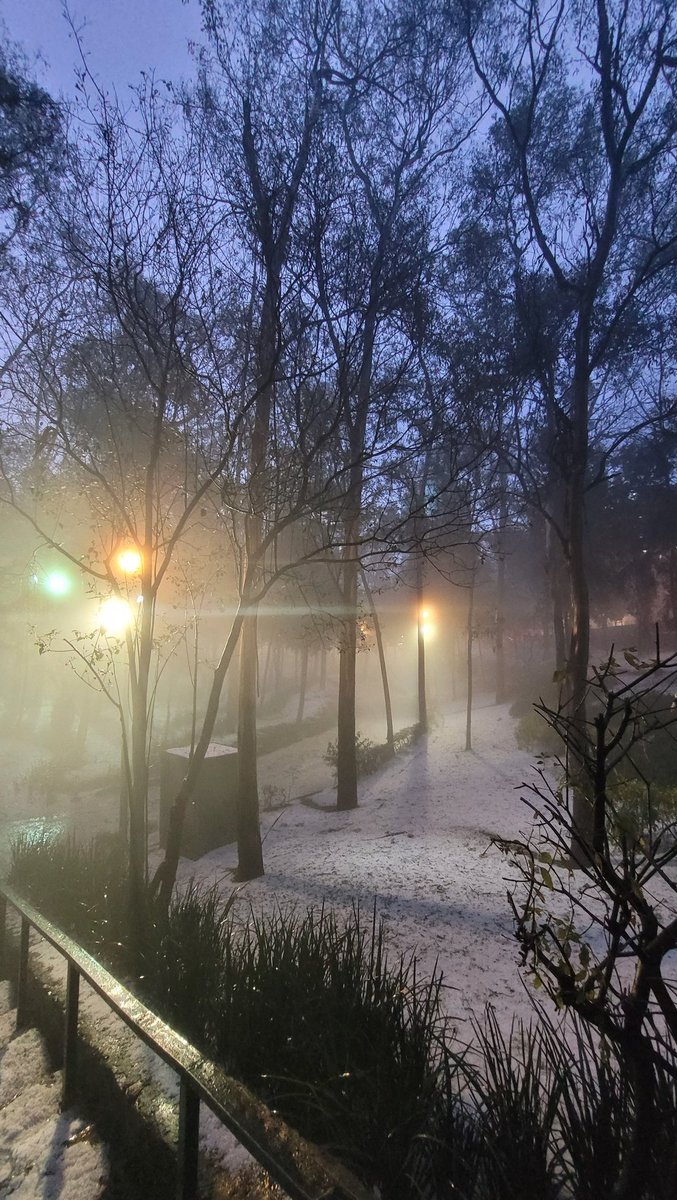 Mario_Mendoza_M's tweet photo. ¿No les encanta este clima? Yo soy del #Coldteam a morir 😍

Espero no haya afectados ni heridos 🙏🏽 https://t.co/2Vx61jAp7z
