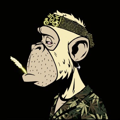 Ape tweet media