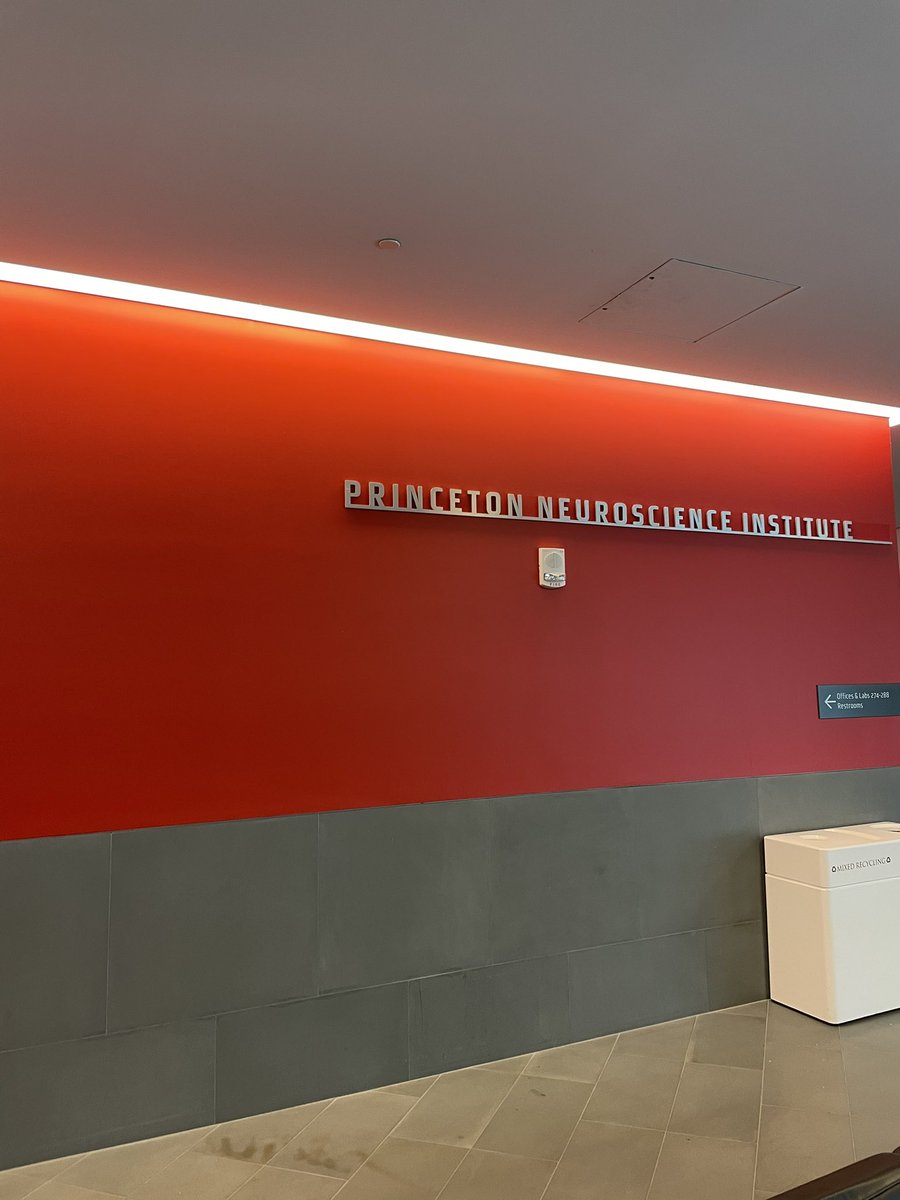 LucasBellaiche's tweet photo. Breaking in my new twitter to thank @PrincetonNeuro for inviting us former interns to present on our research (+finally met my fellow 2020 Zoom cohort!). To top it off, I got the opportunity to catch up with my fantastic undergrad advisor @LisaMargulis! https://t.co/8rMEU0YixJ