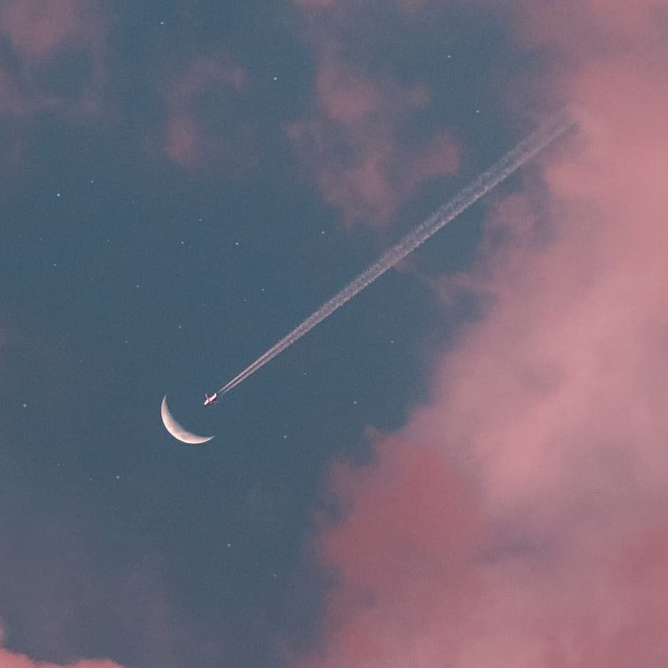 nymphaeria's tweet photo. to the moon. https://t.co/80GQC50pCF
