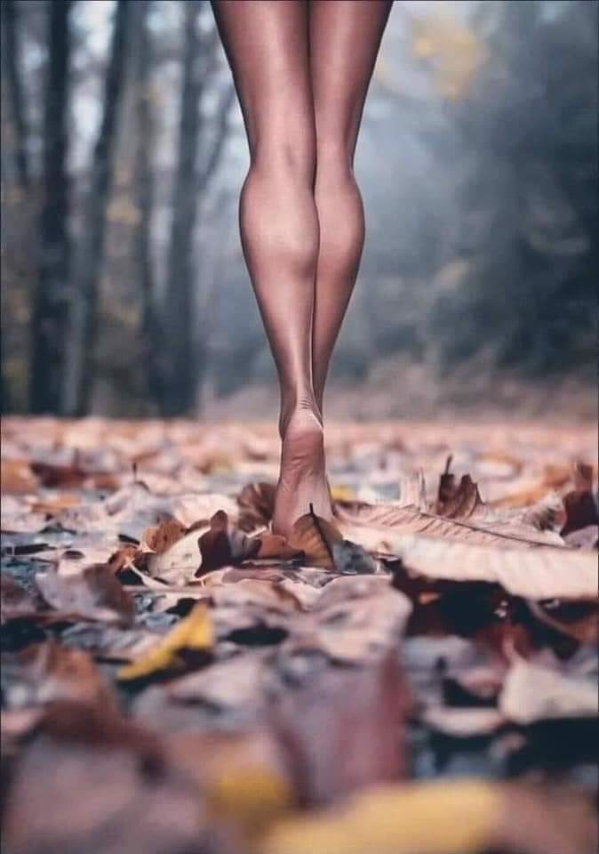 👣🍂🍂