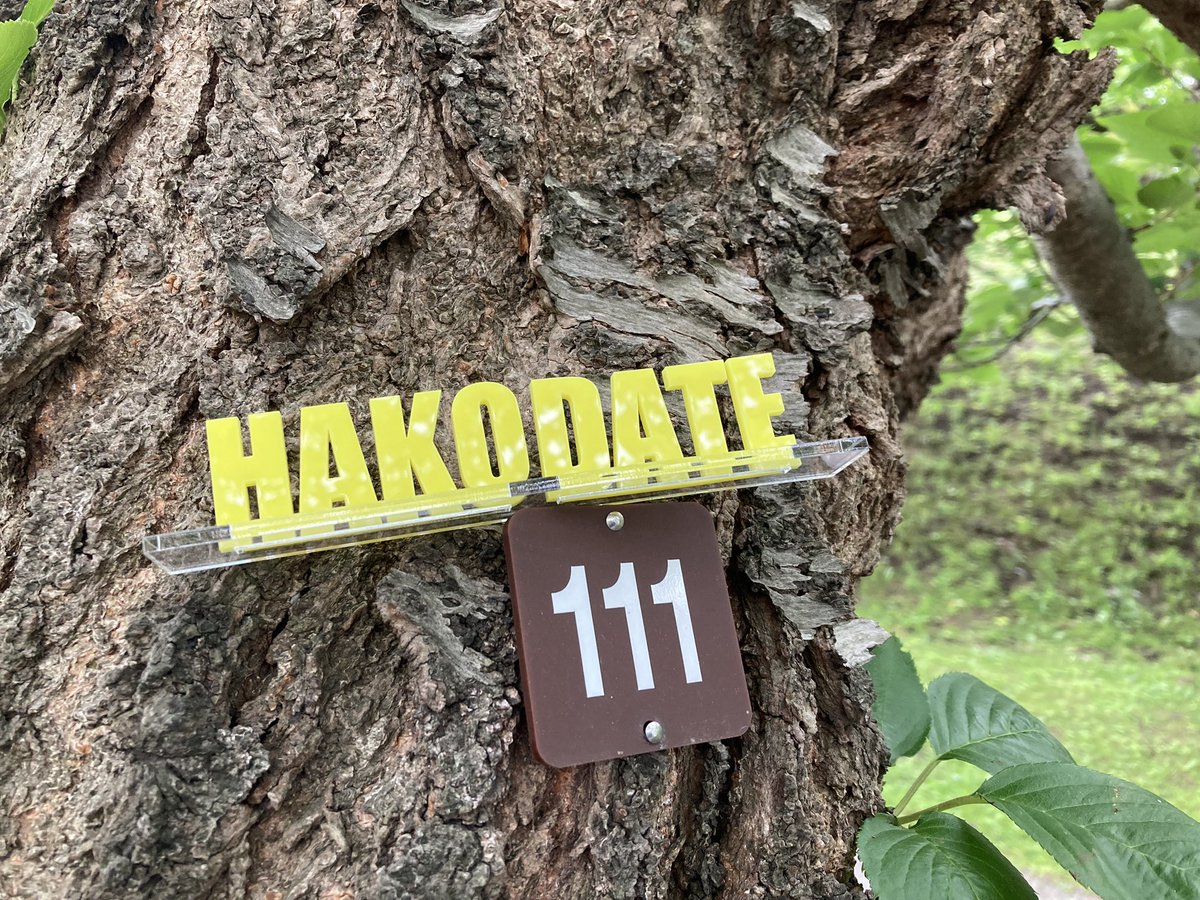 ベンジャミン加藤 tweet media