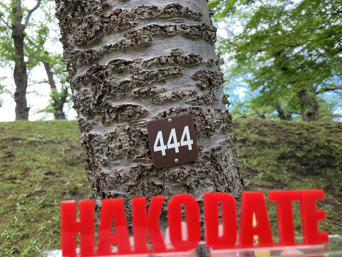 ベンジャミン加藤 tweet media