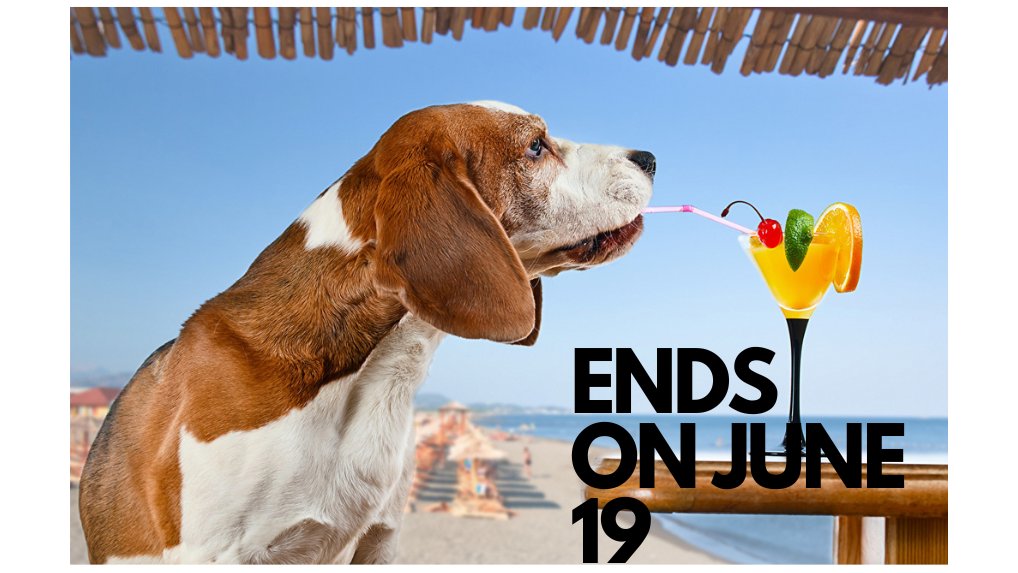 MetaCocktails's tweet photo. 6 DAYS BEFORE Meta Cocktails MEME Competition ENDS!

3 Winners

🥇METACOCKTAIL NFT + Whitelist 
🥈lkmex Gift + Whitelist
🥉Whitelist 

1- Follow 
@metacocktails
2- RT + ❤️
3- Send us your meme entry at https://t.co/J0aMcFis9l https://t.co/fqA78s3gPo