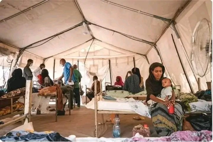 HUSSEIN22859604's tweet photo. The international community must act urgently to save the loss of life's of the people who are dying starvation, drought and thirst in the northern part of #Afar region as well as all over the region.
#Afarlivesmatter #AfarForgottenFront
@KenRoth @UN_HRC @UN_Spokesperson
@POTUS https://t.co/0g6nPCpmTE