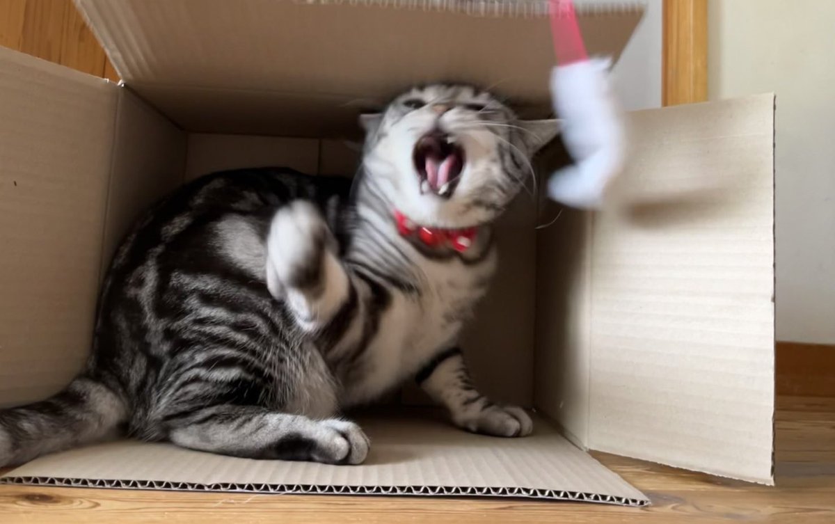 きゅて(ぃ)☁️✧︎ tweet media