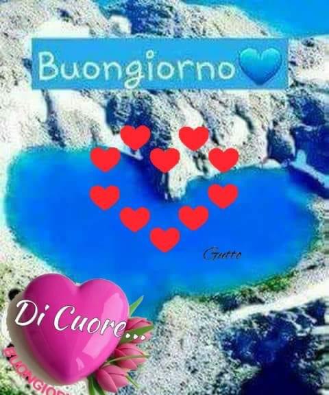 Antonella🌹 tweet media