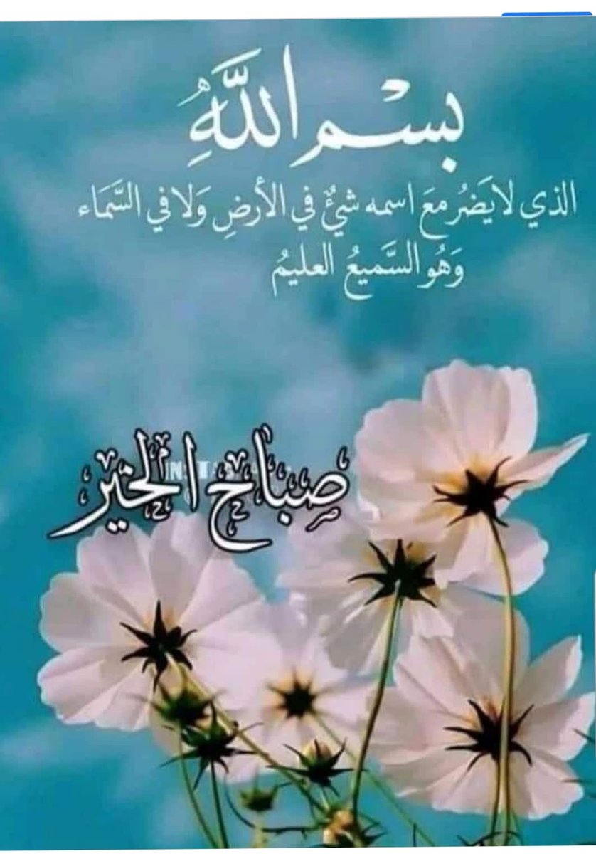 ثامر البرجس (@aaas48534) on Twitter photo 