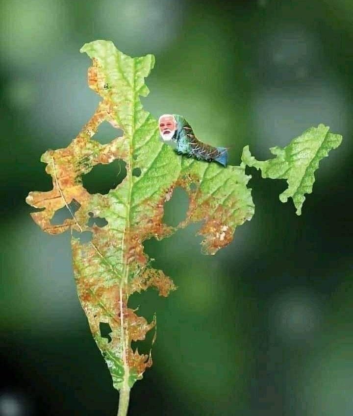 Harinde11703769's tweet photo. Is this New India?
Hate everywhere, fire everywhere.
#मोदी_खेती_बर्बाद_करेगा
#newindiamodel https://t.co/3b8rrLe9qw