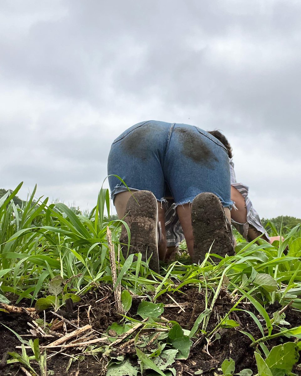 slowmotionbutts's tweet photo. Being a lil #farmslut https://t.co/A90tQVL6jt