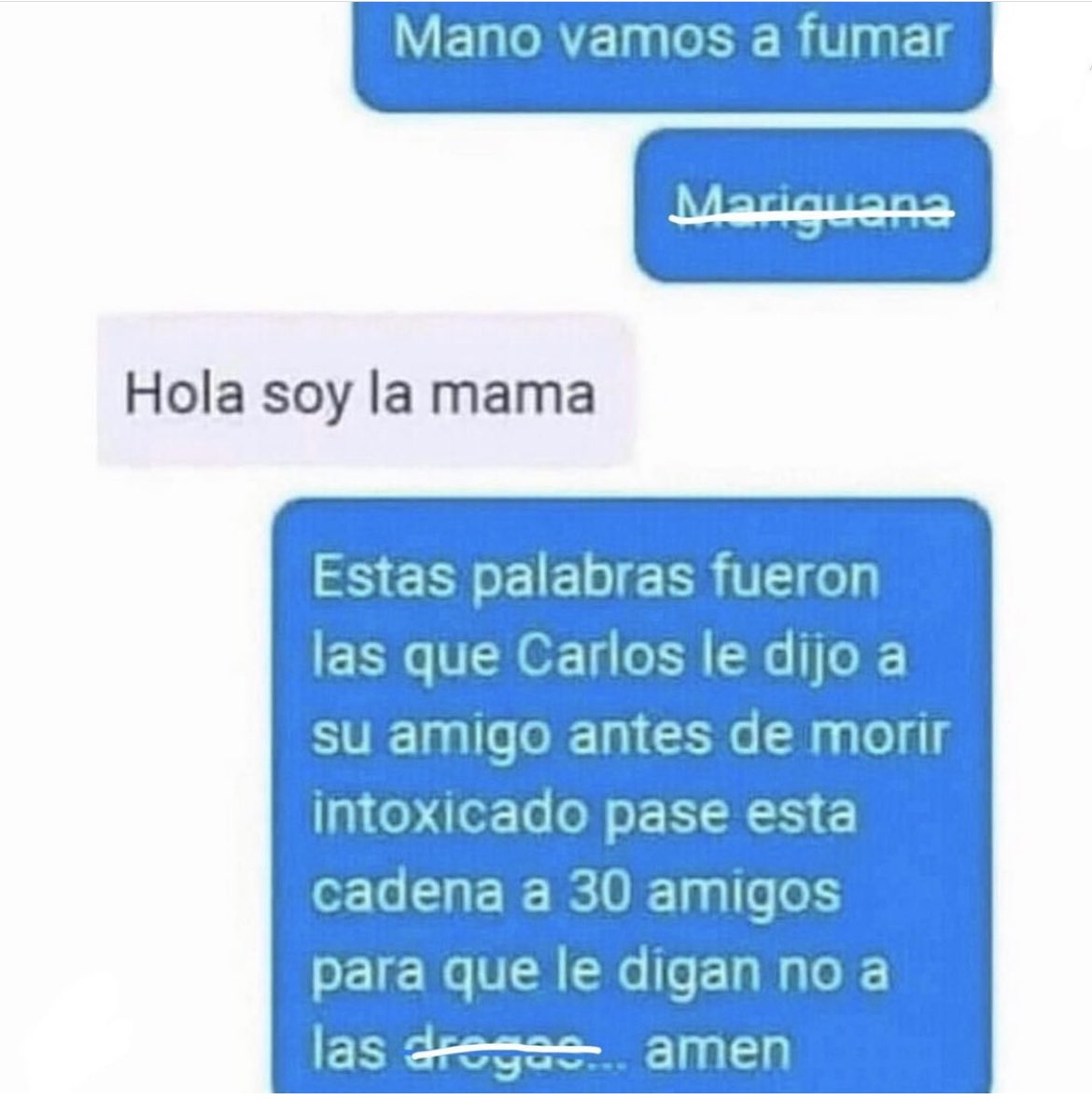ChumelTorres's tweet photo. Denle una alcaldía o algo a este genio. https://t.co/x256qTDbjn