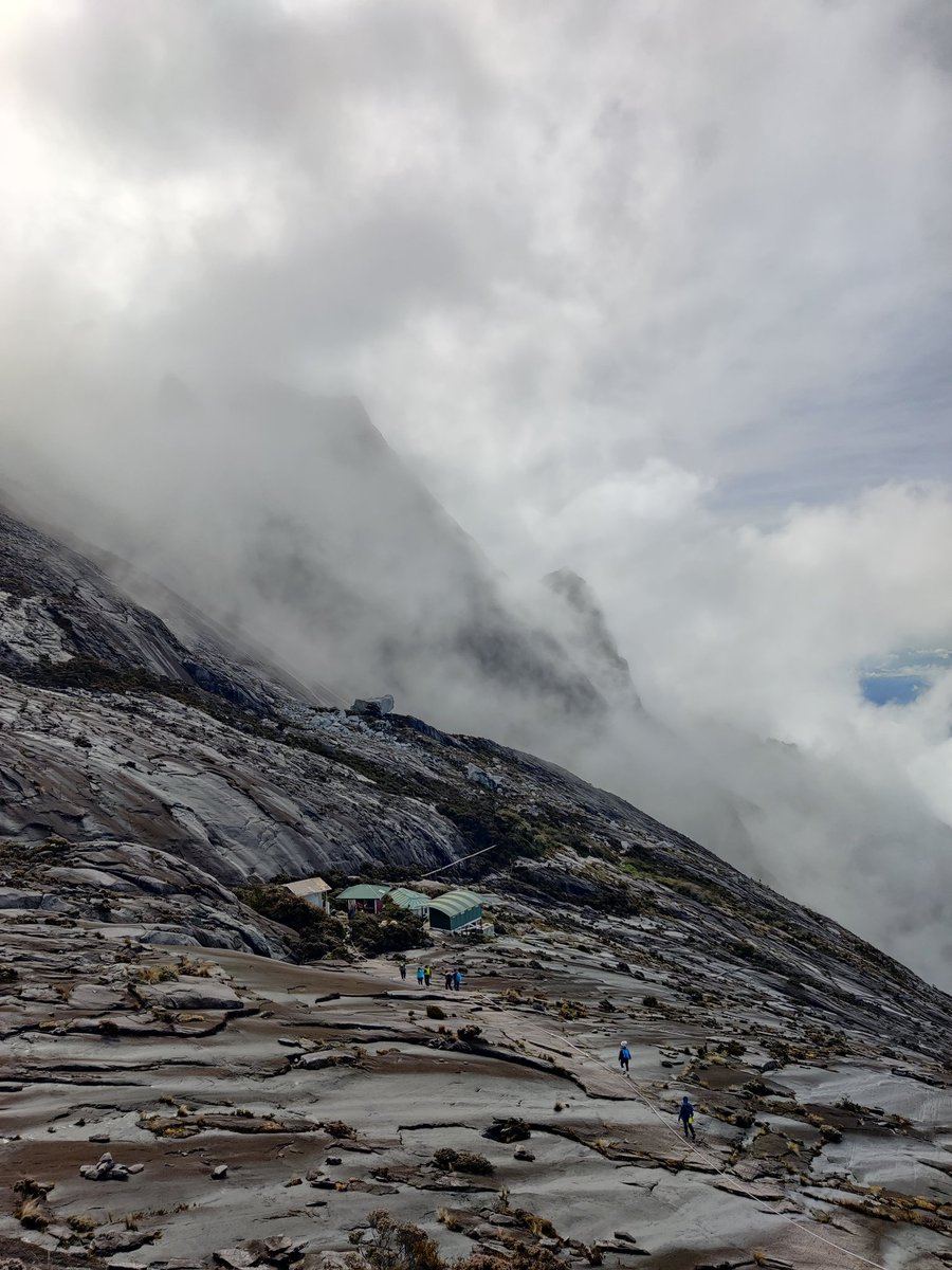 suffeesamian's tweet photo. Mission accomplished! ⛰️

#simpansinisebagaikenangan
#mountkinabalu
#gunungkinabalu
#hiking https://t.co/sIl8ZWHc6K