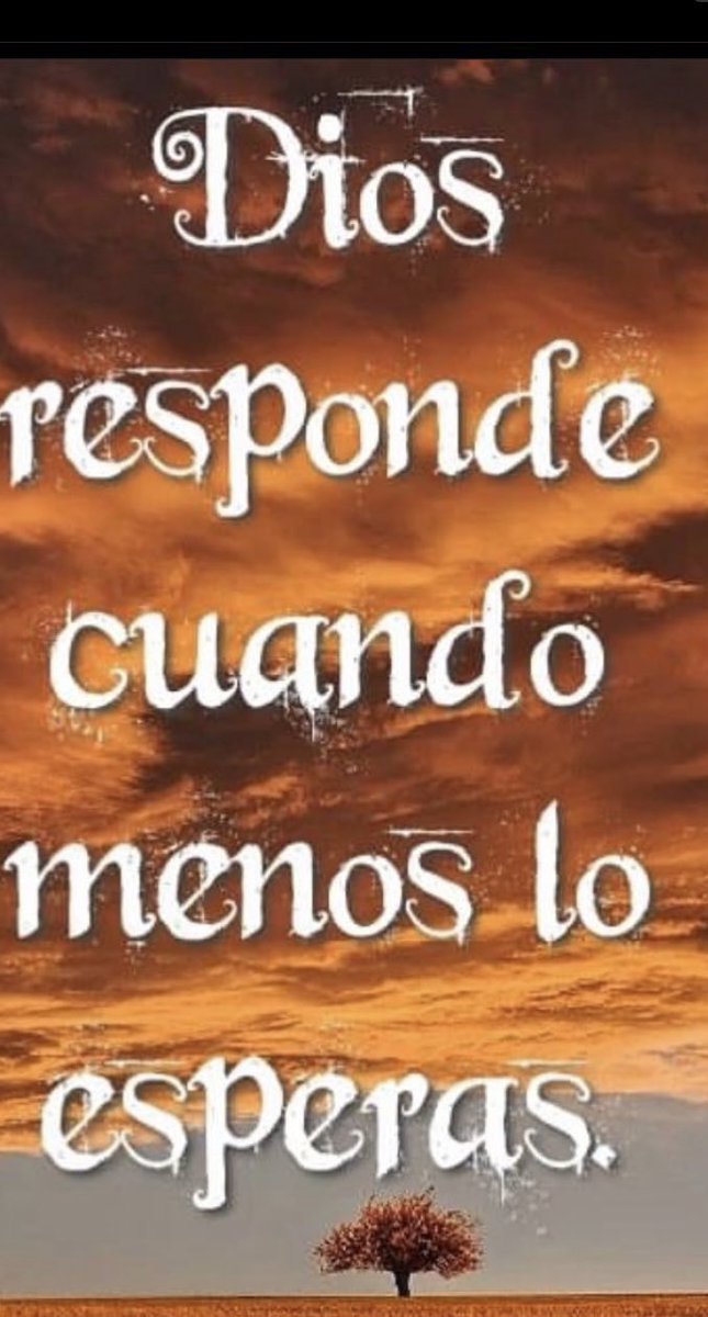 romanabeauty1 tweet picture