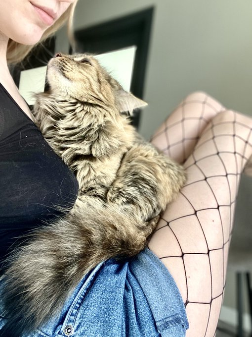 We are online 😻    link ==> https://t.co/obndYg4FVX   #webmodels #fishnets #footsie https://t.co/9ck<a href="/tag/fishnets"class="tags"><span>#fishnets</span></a><a href="/tag/footsie"class="tags"><span>#footsie</span></a><a href="/tag/webmodels"class="tags"><span>#webmodels</span></a>