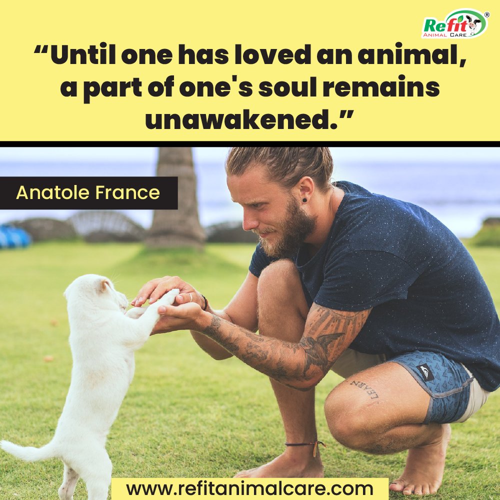 refitanimalcare's tweet photo. #animallovers #refit #refitanimalcare https://t.co/helCc2OcMg